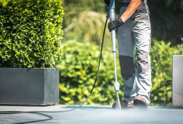 Best Roof Washing  in Winchester, OH